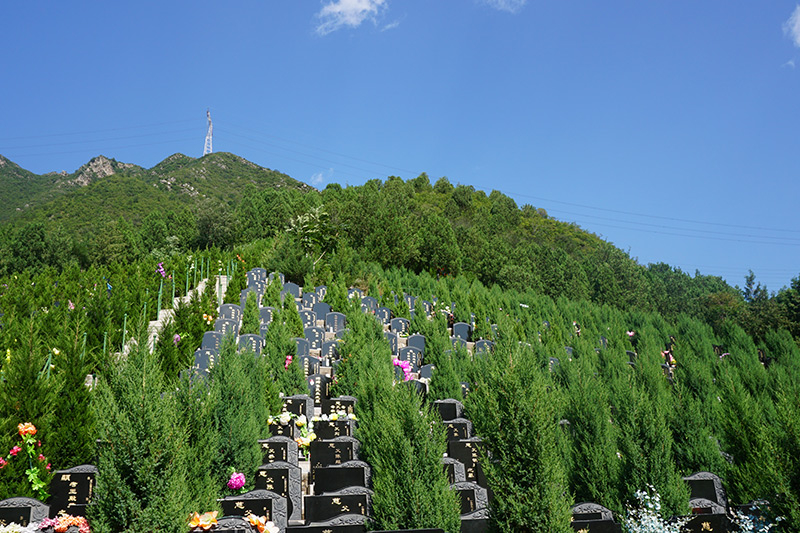 五一假期，选墓方式分析，哪种选墓方式最高效？