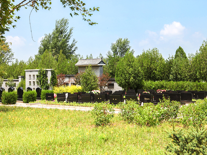 安吉龙山源怎么样（周末能够正常选墓吗)
