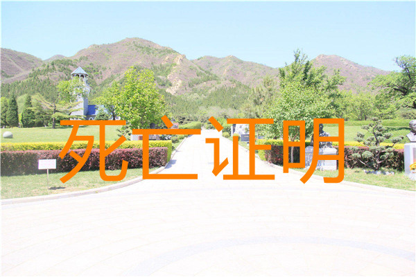 如何开死亡证明(在哪里开死亡证明最方便)